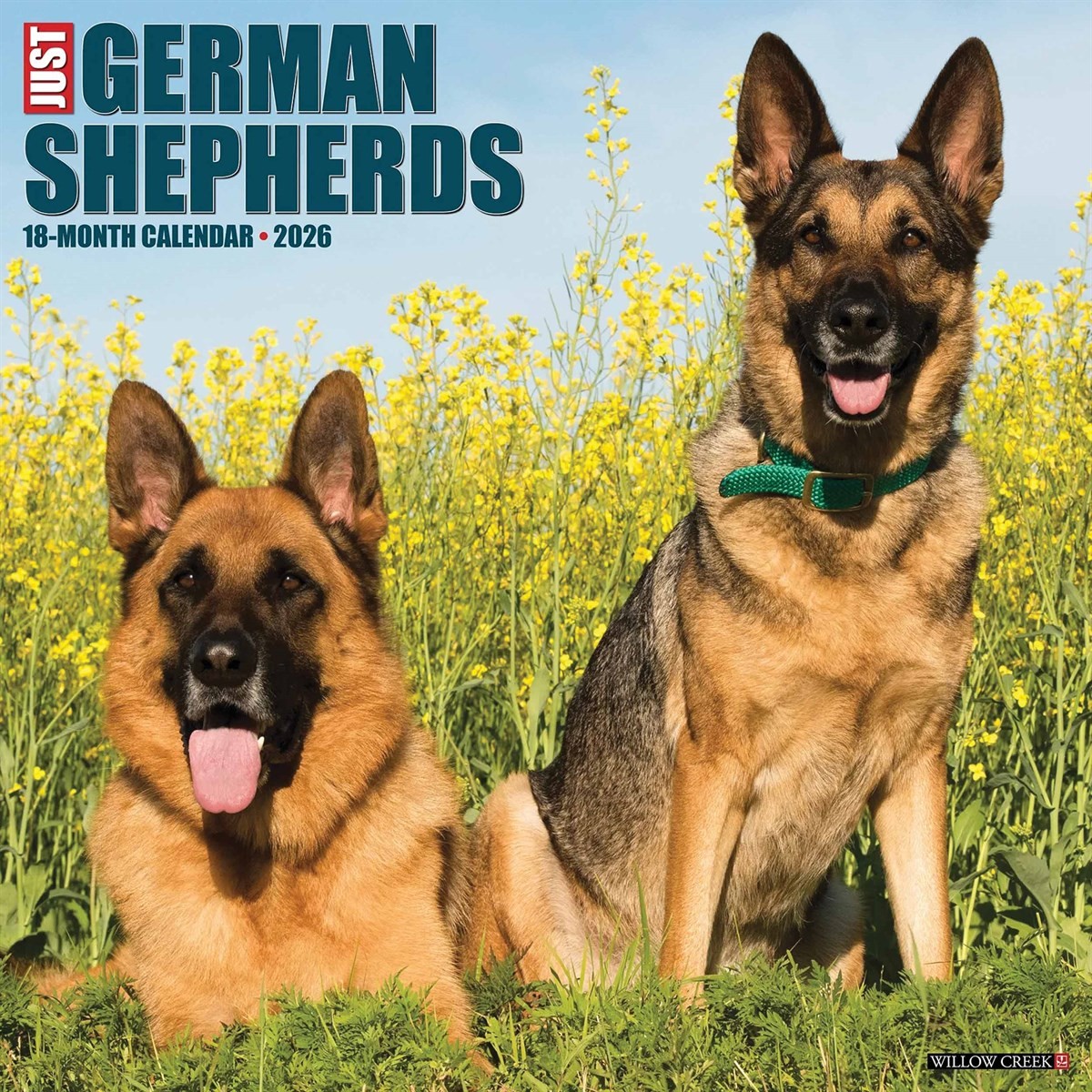 German Shepherds Calendar 2026, Wall Calendars, Month To View, Dogs, Gift