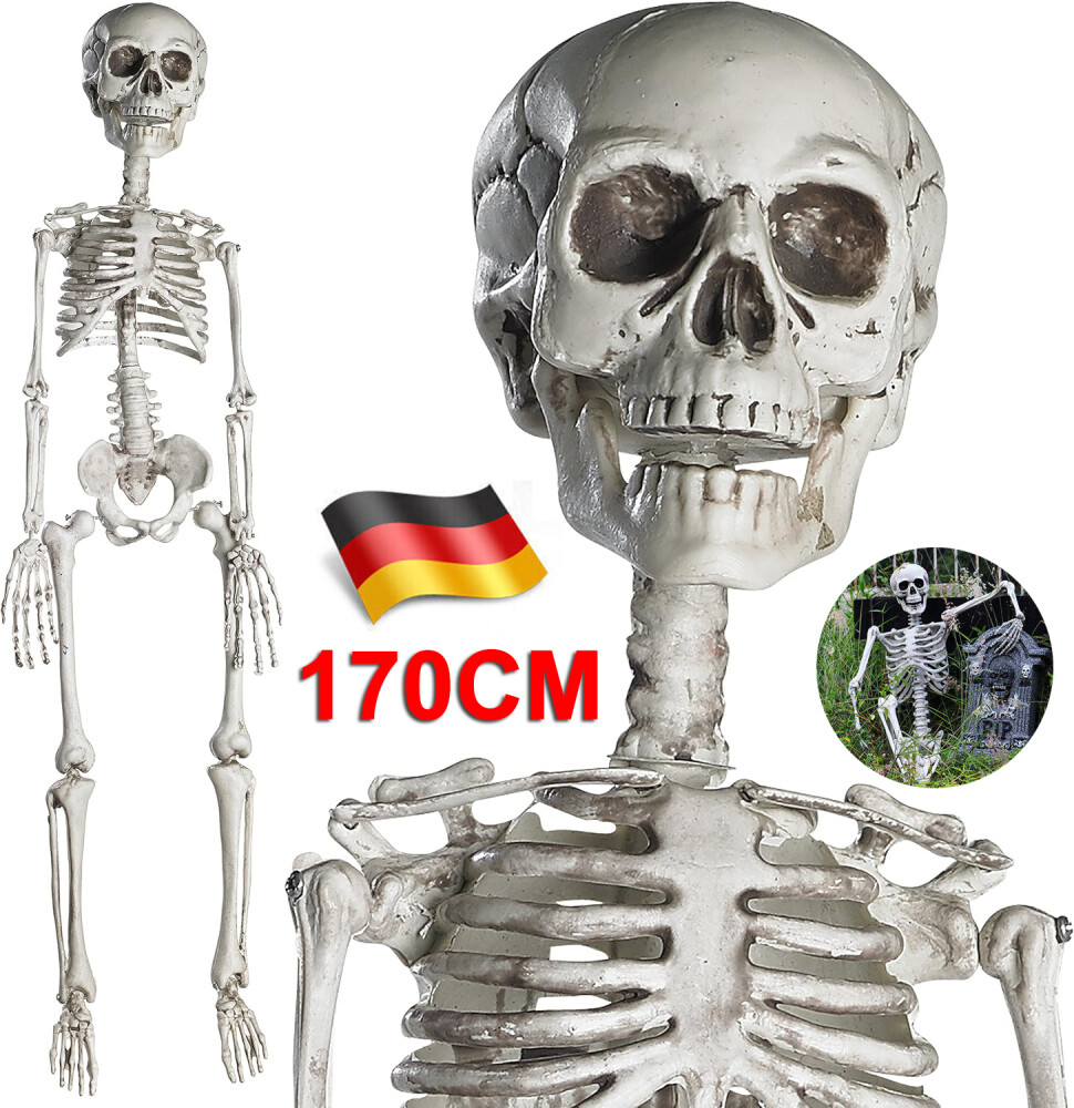 170cm lebensgroßes Skelett Ganzkörperrealistische menschliche Knochen Halloween
