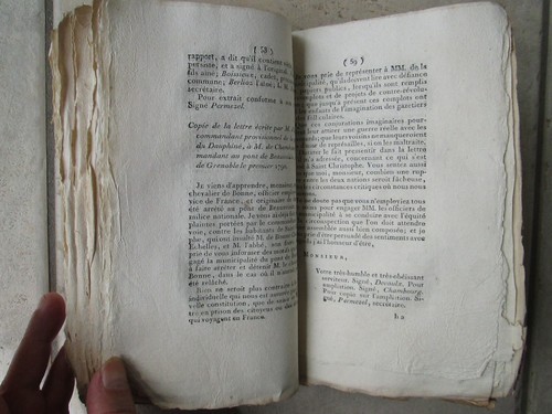 GARRAN DE COULON : Rapport dénonciation MAILLEBOIS / SAVARDIN / ST PRIEST, 1790. - Picture 7 of 12
