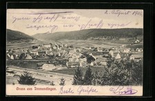 Ansichtskarte Immendingen, Ortsansicht mit Bergen 1906 