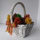 Bild 4 von 11