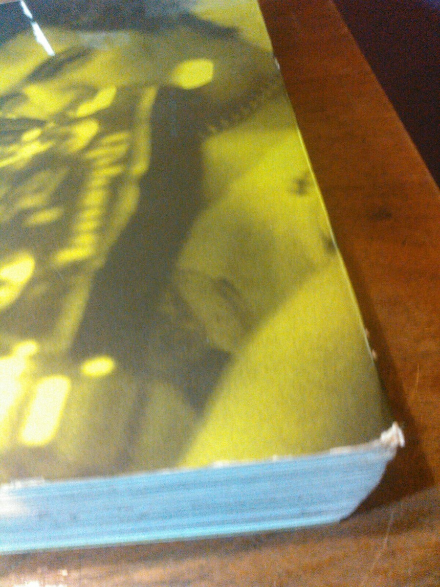 PUNK! The Definitive Record of a Revolution, Stephen Colegrave