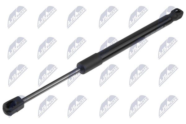Gasfeder Motorhaube Nty AE-BM-165 FüR Bmw I3 I01 Electric Range Extender-image