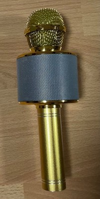 children' wireless mic