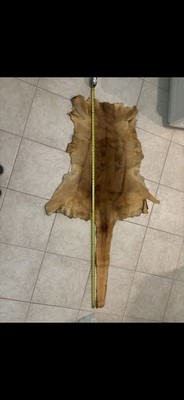 Brown Hair-On Whole Hide Leathercraft Kangaroo Hide 