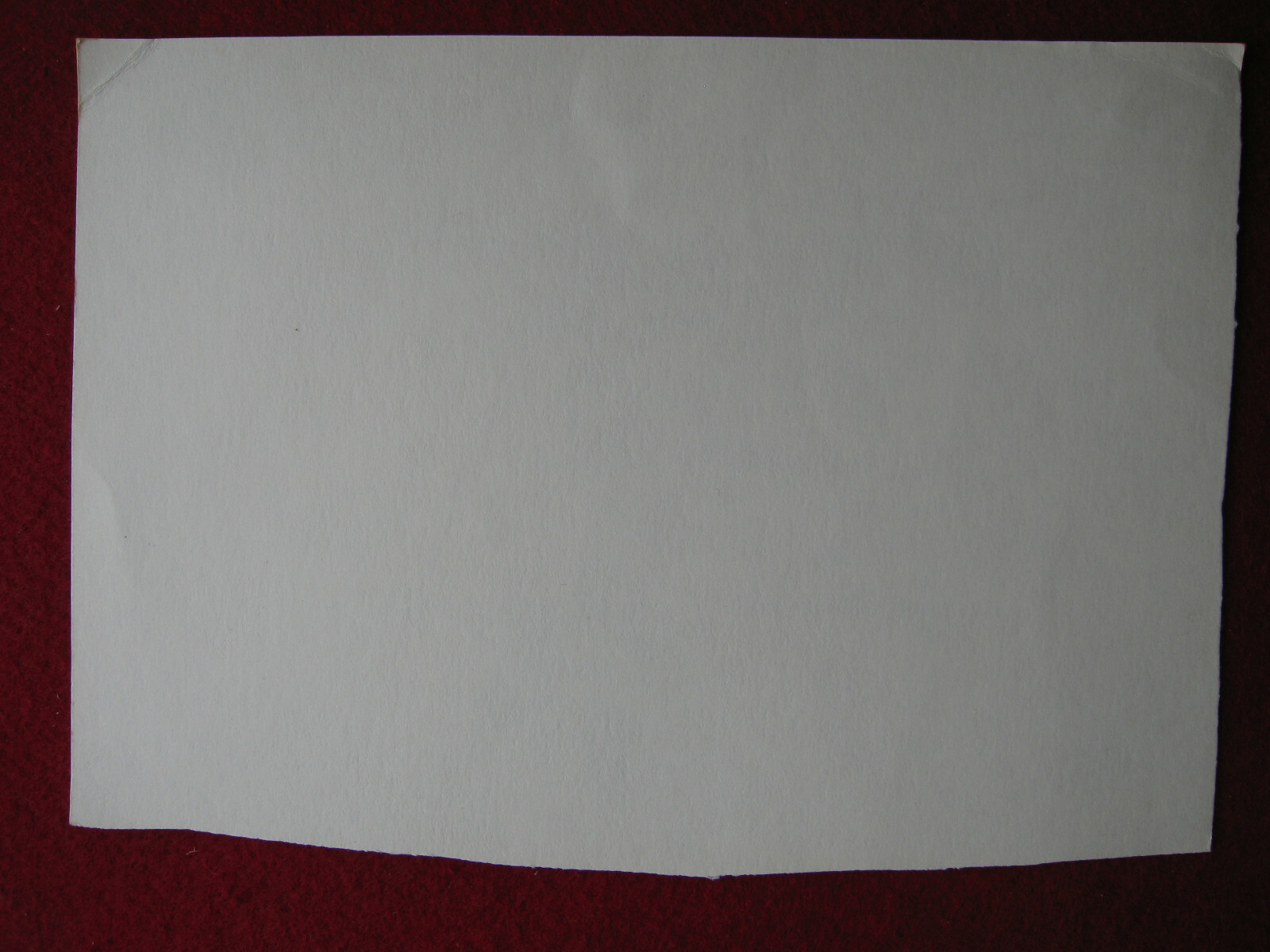 Bild 5 von 5