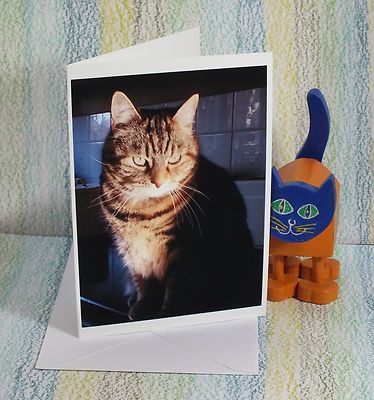 Karte: ''Tabitha, eine Manchester Makrele Tabby Katze'' #PeterBrighouseFotografie