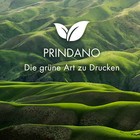 Foto 12 di 21