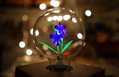 SELTENE Glimm G80 Blumen/Flamme Lampe E27 3-5W Glühbirne Decor FLOWER LIGHT BULB