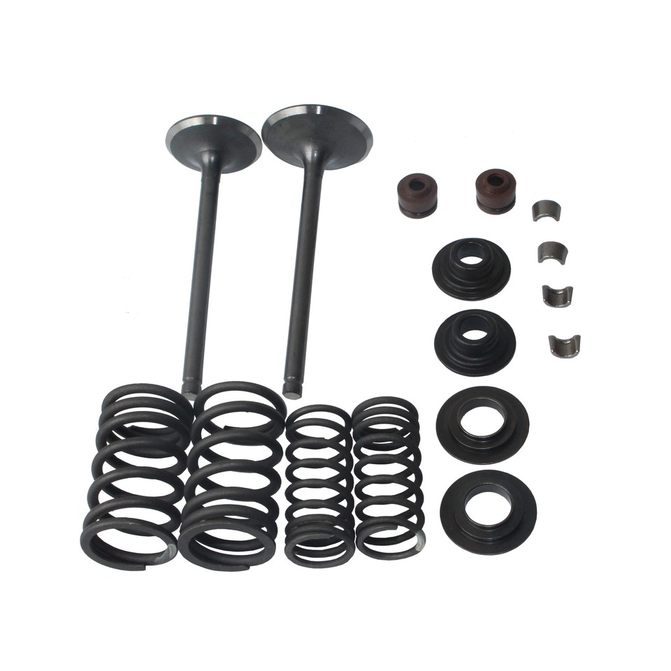 Intake Exhaust Valve Rebuild Kit 250cc CN250 Water Cooled 172mm Engine
