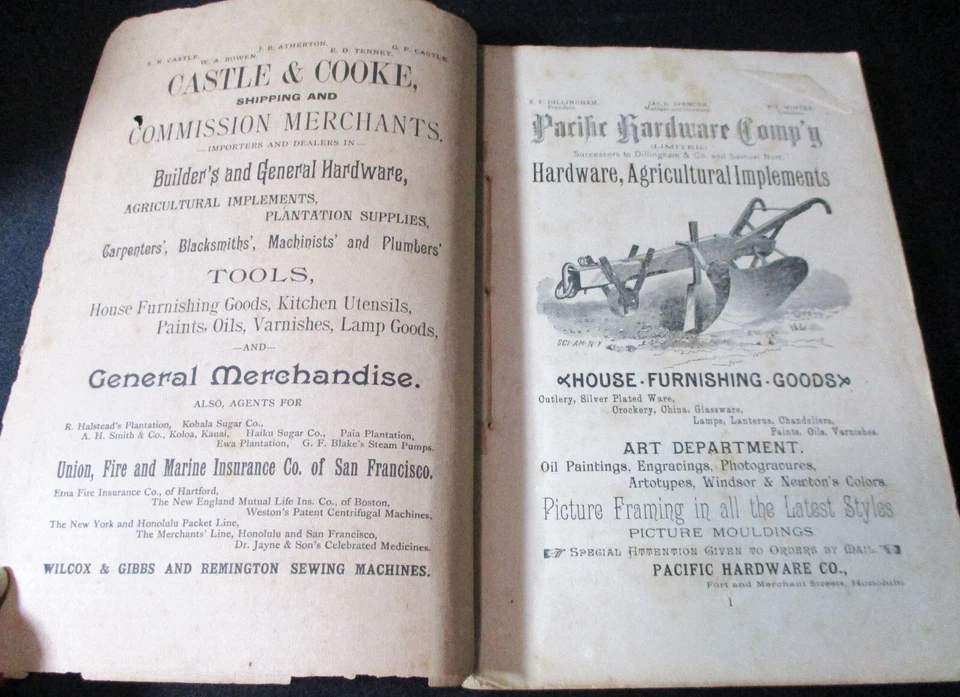 1891 HAWAIIAN ALMANAC AND ANNUAL Thomas Thrum Handbook of Information Statistics - Image 3 of 4