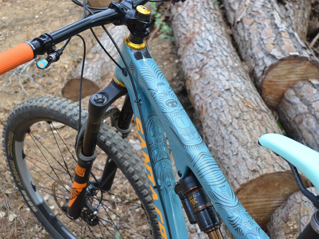 Test All Mountain Style AMS Honeycomb Frame Guard XL Black