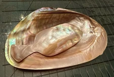 Footed mother of Pearl Shell Caviar dish 7 X 4.5” Chipped & Scoop Included VTG