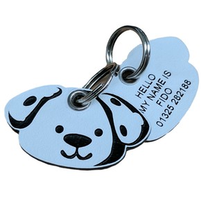 fido id tag