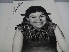 LAUREN CHAPIN KITTEN "FATHER KNOWS BEST" RARE AUTO SIGNED 8X10 PHOTO COA FR SHIP