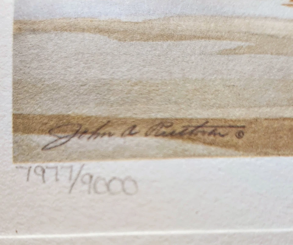 Wildlife Intl Lithograph - John Ruthven - 1982 - First Ohio Duck Stamp - #7797 - Image 4 of 4