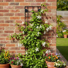Petite Trellis - 51cm x 16cm x 3cm
