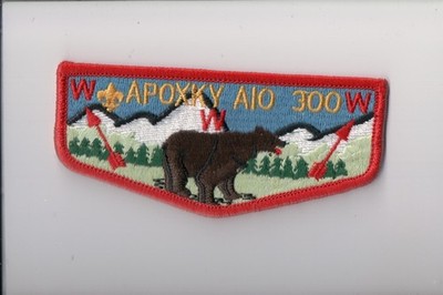 Lodge 303 Yowlumne OA flap (CB-I)