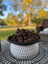 15 Lbs Black Walnuts hulled, in shell fresh harvest 2023, GA, Non GMO, ORGANIC