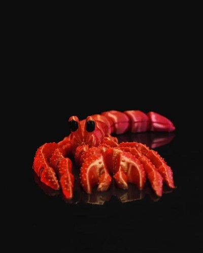 Articulated Hermes, the Hermit Crab - Picture 2 of 9