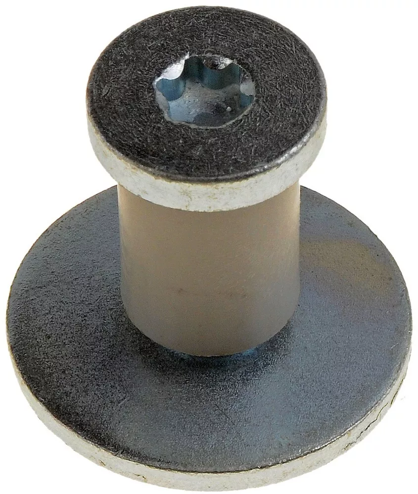 Door Striker Bolt Dorman 38421 海外 即決-