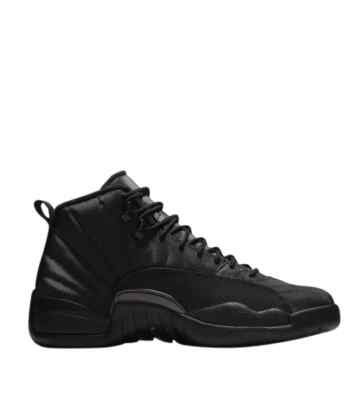 jordan 12 winterized stockx
