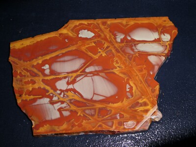 Noreena Jasper  slab 7'' x 4 3/4''  rough -cabbing-display-collect-