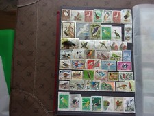 MONDE - lot de timbres (oiseaux) obl (F3)