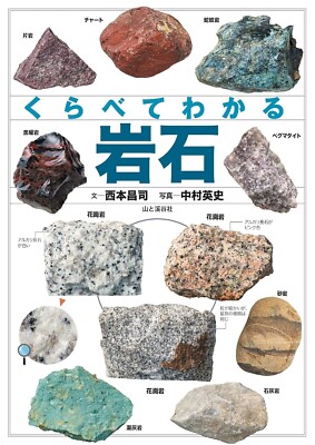 Rocks in Japan: A Comparative Analysis Japanese Book NEW F/S
