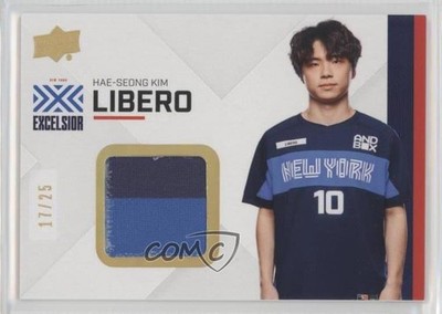 2020 Upper Deck Overwatch League Series 2 Solo Fragments 17/25 Libero Patch a8r