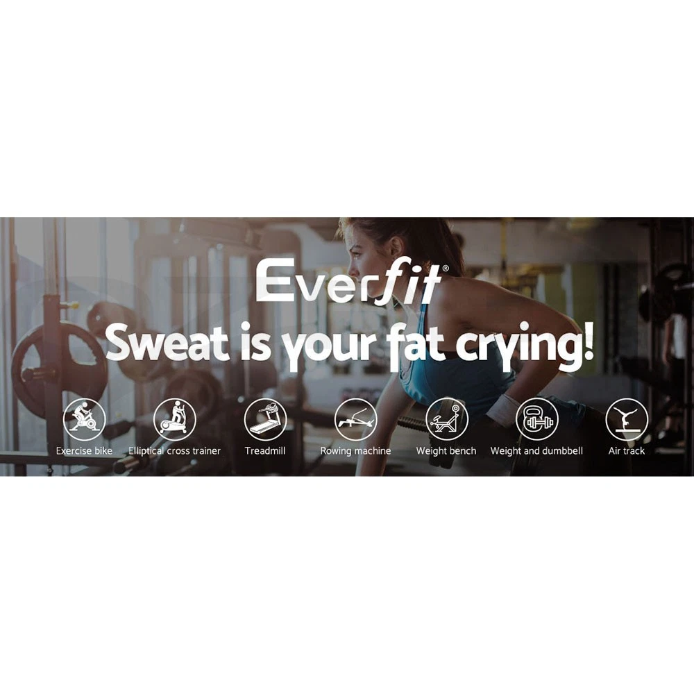 Everfit 20kg Hex Dumbbells Set Dumbbell Weights Lifting Bench Gym Workout 2x10kg
