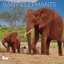 2026 Wall Calendar  12 x 24 Open  Animal Photography Thick Sturdy Paper fo...