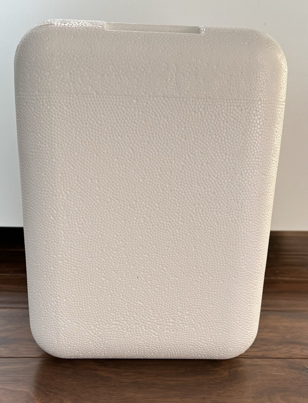 Thermosafe Insulated Shipper Styrofoam Cooler 12 x 11x 9 w/free Polar Packs