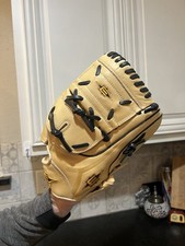 Easton Baseball Glove 12" Professional OKAYAMA Steerhide EPG10WB-SS