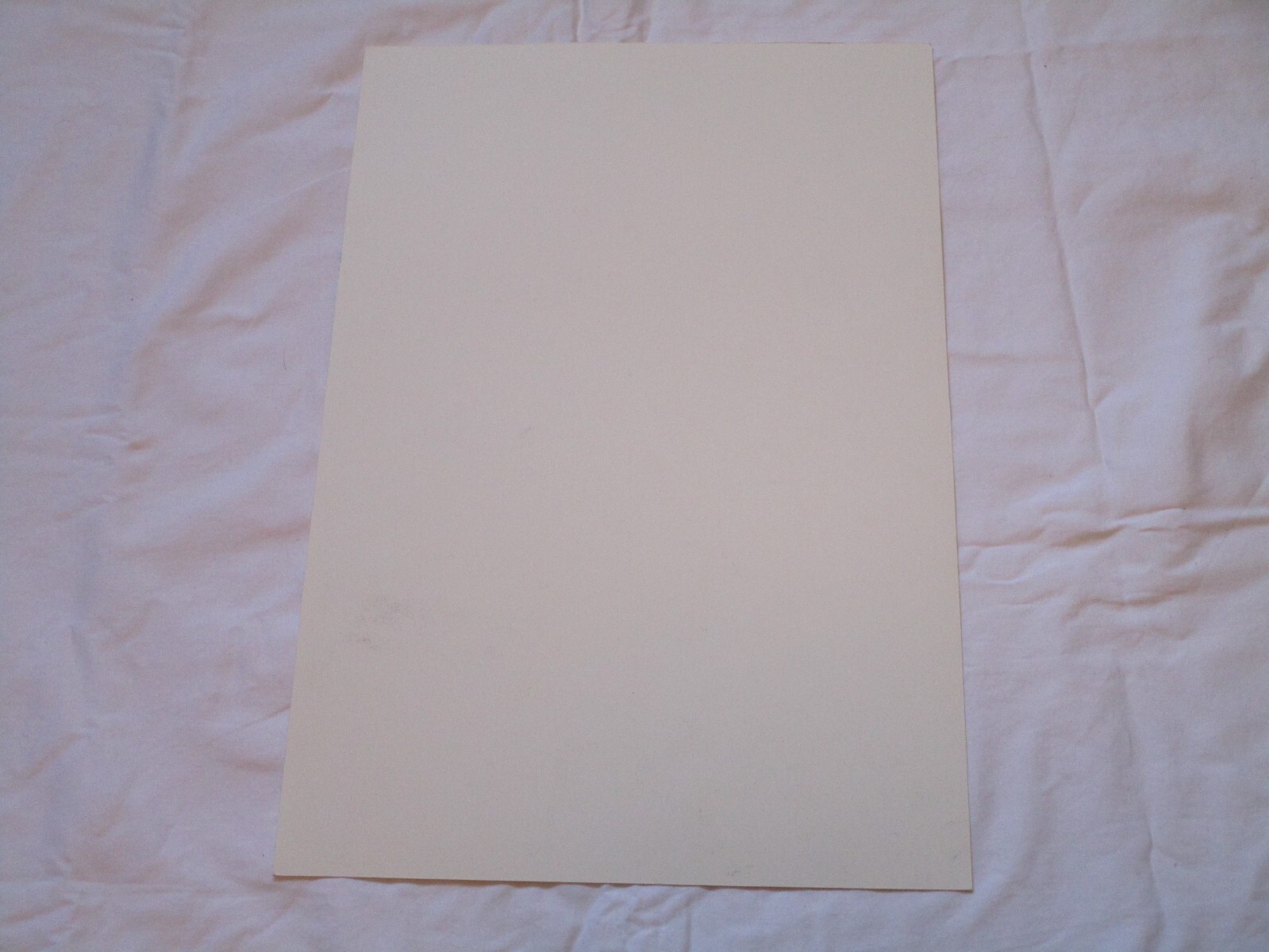 Picture 8 of 12