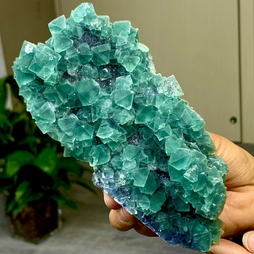 467G Raro Transparente Azul-Verde Cubo Fluorita Mineral Cristal Espécimen/China - Imagen 5 de 23