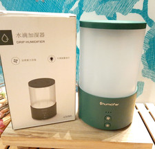 Portable Humidifier, 650ml Small Cool Mist Humidifier, USB Rechargeable Light