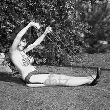 1960s Negative-sexy brunette pinup girl Cozette Cosen-cheesecake t457721