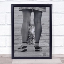 Little Prayer Cat Peek Humour Humour Legs Peeking Watching Looking Art Print