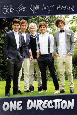2014 One Direction: Band Signatur - Maxi Poster 61 cm x 91,5 cm versiegelt