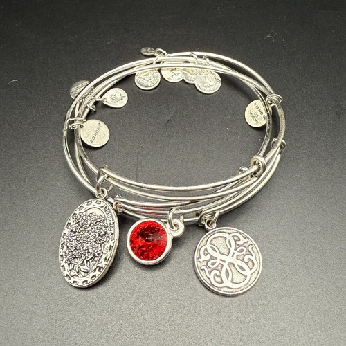 Alex And Ani Daughter Red Crystal Path Of Life Charm Bracelets Set Of 3 Stack - 第 10/11 張圖片