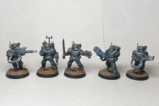 Warhammer 40k  5x Tempestus Scion Squad Paint Commission Check Description