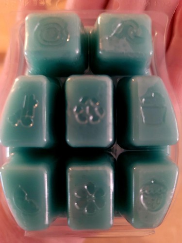 Scentsy Wax Bars: BBMB, Disney, Retired! Save up to 15%, Free Shipping! - Picture 6 of 150