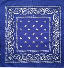 Paisley 100% Polyester Unisex Bandanas  21” X 21”- 2 Pack