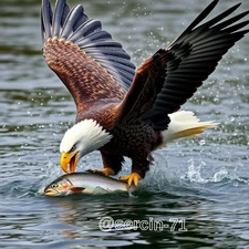 Digital Image Picture Photo Wallpaper Background Desktop AI Art Sample Product