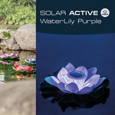 Solar Seerose online kaufen | eBay.de