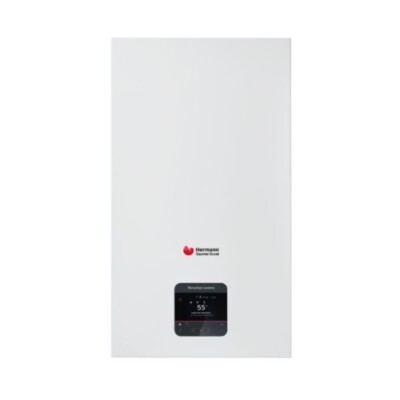 Kondensationskessel Saunier Duval Themafast Condens 25 Mit Abgassatz