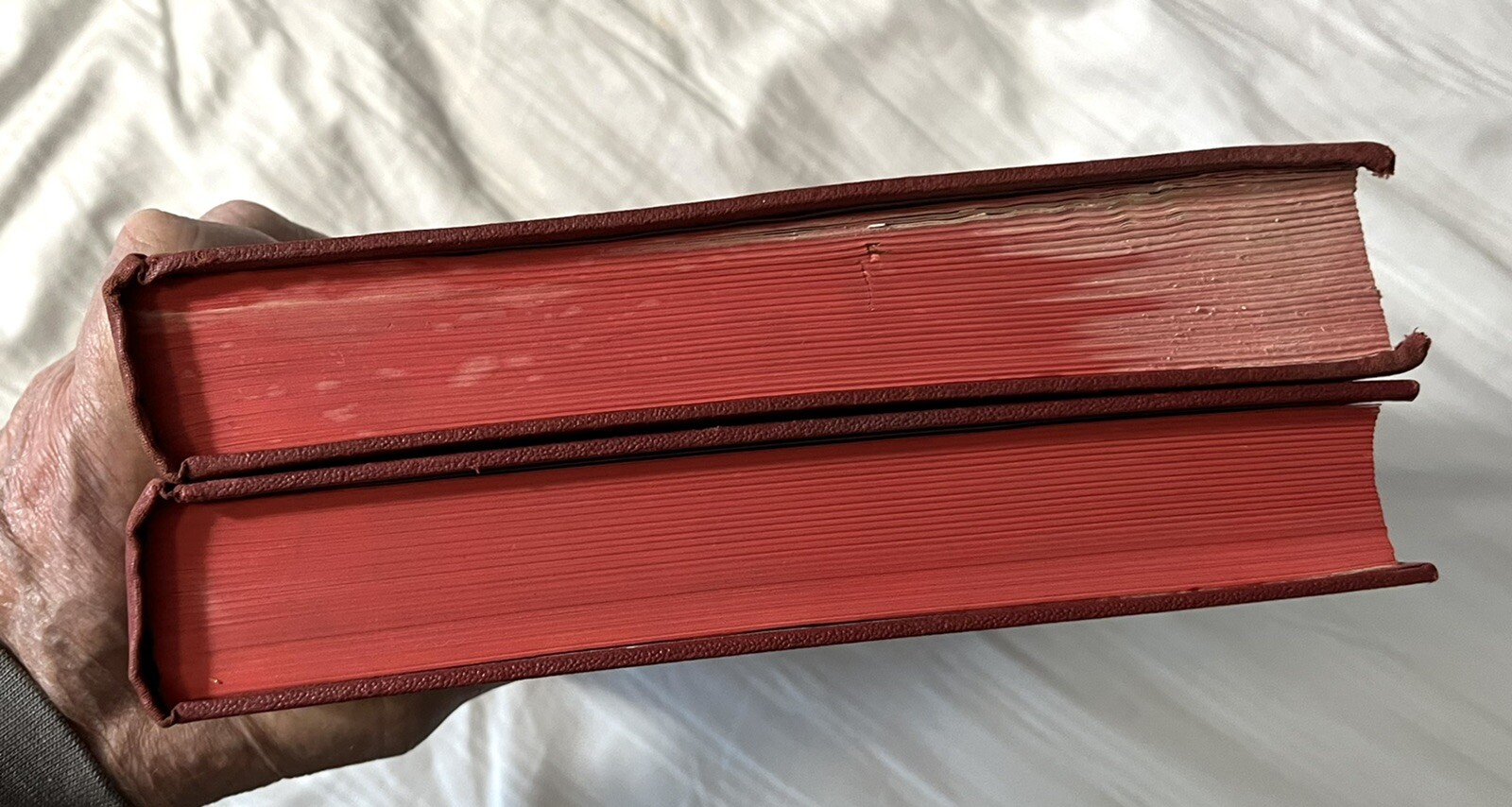 Picture 4 of 11