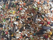 Independent's Choice Feed® bird food Southeast Specialty Cockatiel 40 lbs