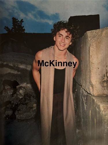Timothee Chalamet Covers November 2023 GQ US edition Purchased In Australia - Picture 6 of 9